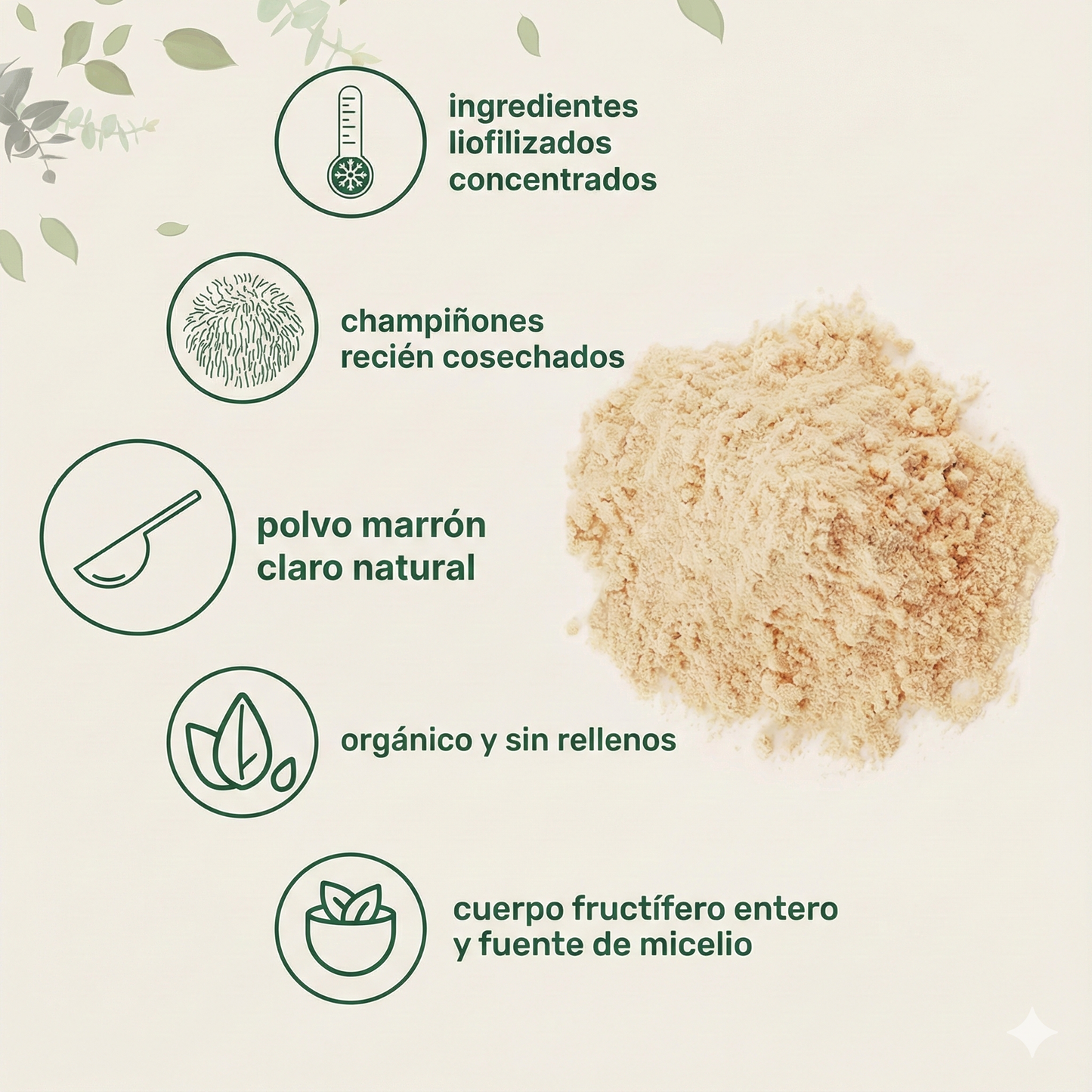 Suplemento Orgánico de Melena de León