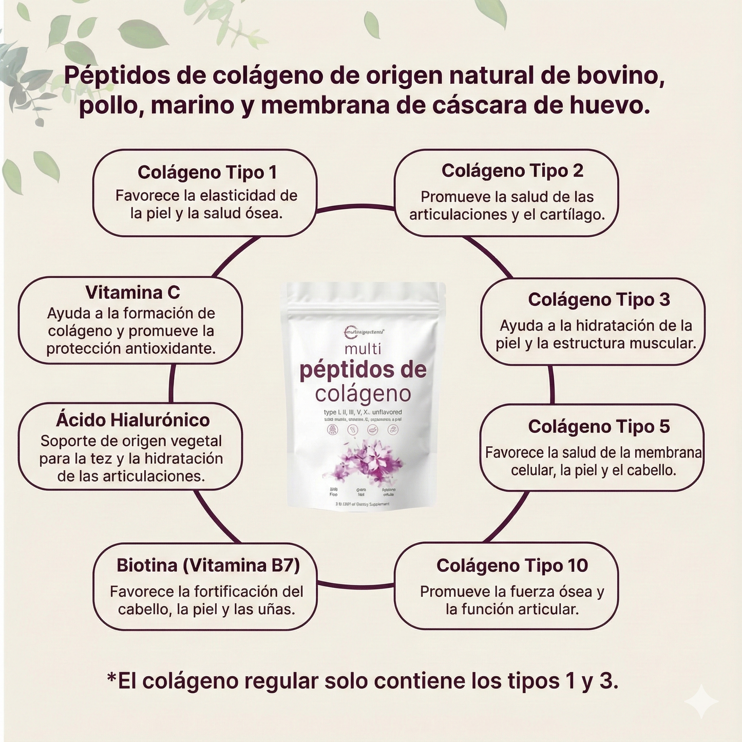 Multi Colágeno Péptidos + Biotina + Vitamina C + Ácido Hialurónico